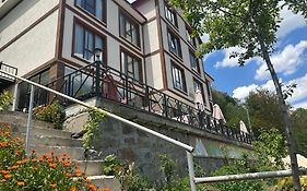 Alya Teras Otel